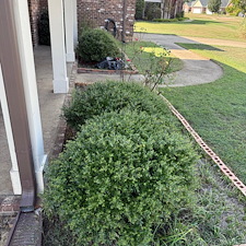Professional-Flowerbed-Maintenance-Shrub-Trimming-in-Oxford-MS-1 3